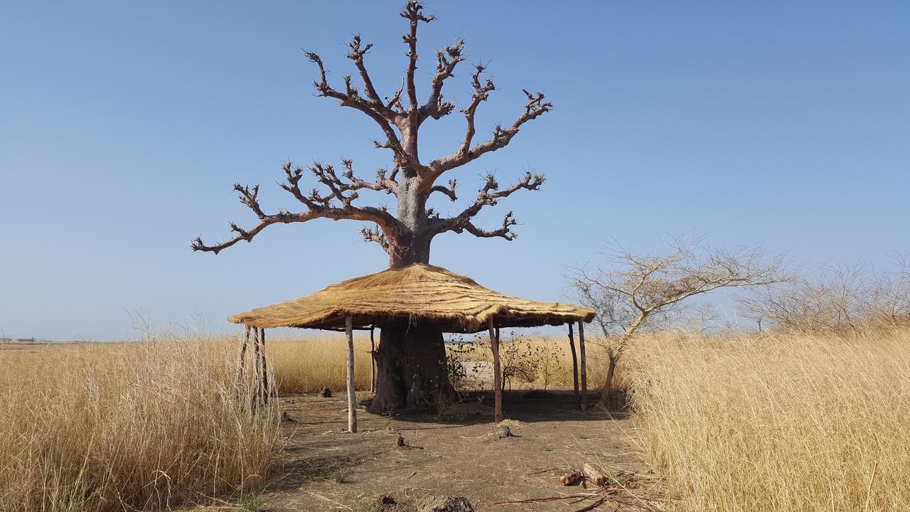 Ecolodge De Simal 外观 照片