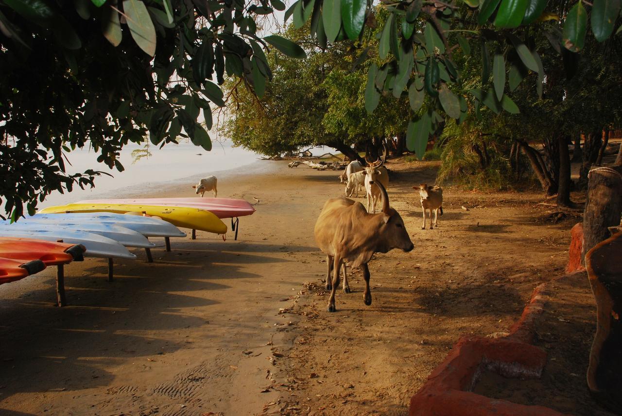 Ecolodge De Simal 外观 照片