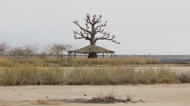 Ecolodge De Simal 外观 照片
