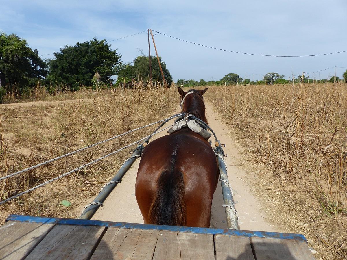 Ecolodge De Simal 外观 照片